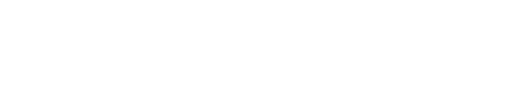 checkpoint